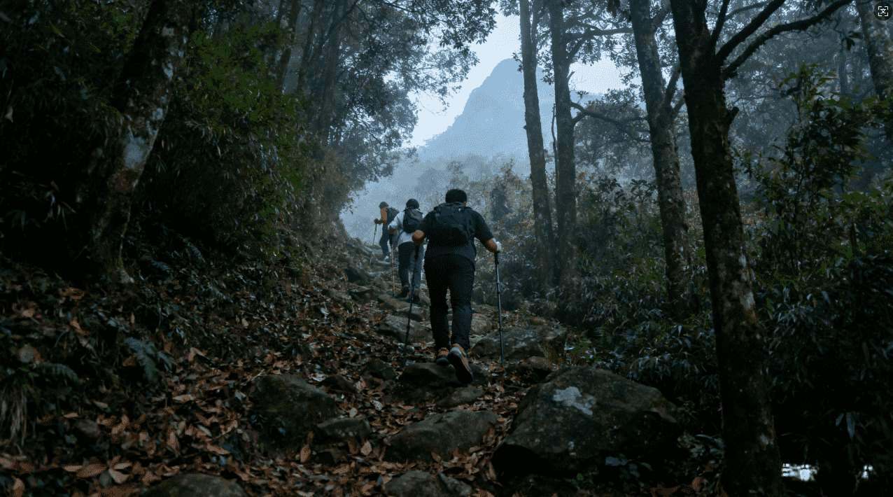 解锁互联网自由的加速器梯子火箭全解析